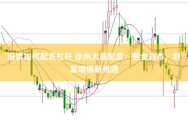股票如何配资杠杆 徐州大蒜配资：掘金蒜市，财富增值新机遇