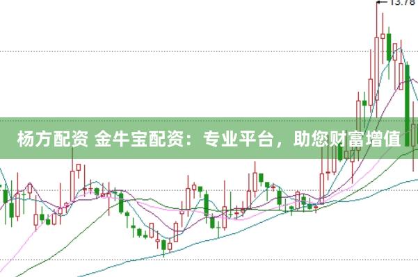 杨方配资 金牛宝配资：专业平台，助您财富增值