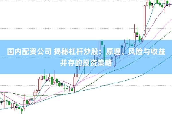 国内配资公司 揭秘杠杆炒股：原理、风险与收益并存的投资策略