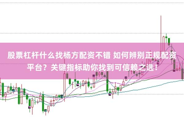 股票杠杆什么找杨方配资不错 如何辨别正规配资平台？关键指标助你找到可信赖之选！