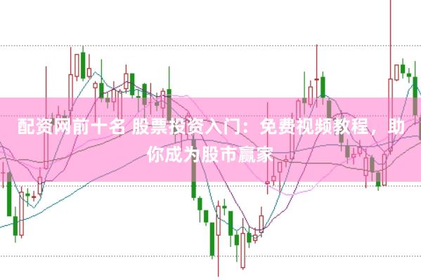配资网前十名 股票投资入门：免费视频教程，助你成为股市赢家