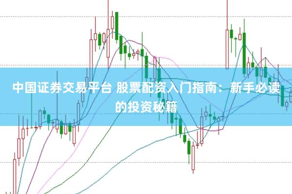 中国证券交易平台 股票配资入门指南：新手必读的投资秘籍