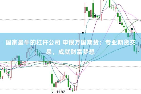 国家最牛的杠杆公司 申银万国期货：专业期货交易，成就财富梦想