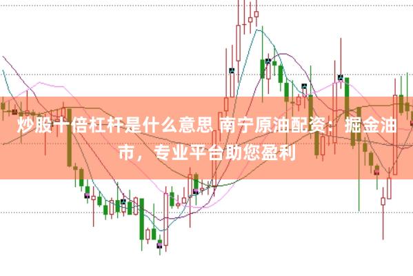 炒股十倍杠杆是什么意思 南宁原油配资：掘金油市，专业平台助您盈利