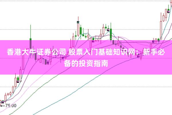 香港大牛证券公司 股票入门基础知识网:新手必备的投资指南