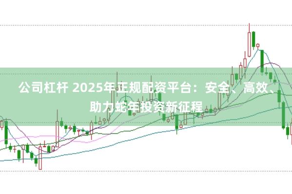 公司杠杆 2025年正规配资平台:安全、高效、助力蛇年投资新征程