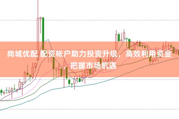 尚城优配 配资帐户助力投资升级,高效利用资金,把握市场机遇