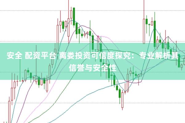 安全 配资平台 离娄投资可信度探究:专业解析其信誉与安全性