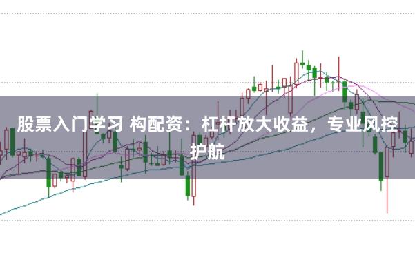 股票入门学习 构配资:杠杆放大收益,专业风控护航