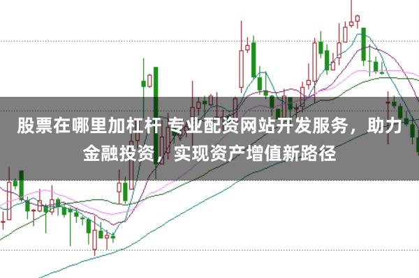 股票在哪里加杠杆 专业配资网站开发服务，助力金融投资，实现资产增值新路径