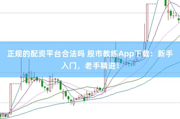 正规的配资平台合法吗 股市教练App下载：新手入门，老手精进！