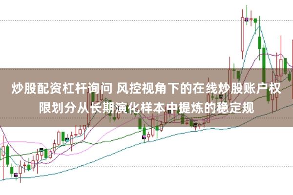 炒股配资杠杆询问 风控视角下的在线炒股账户权限划分从长期演化样本中提炼的稳定规