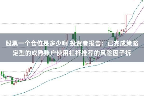 股票一个仓位是多少啊 投资者报告：已完成策略定型的成熟账户使用杠杆推荐的风险因子拆