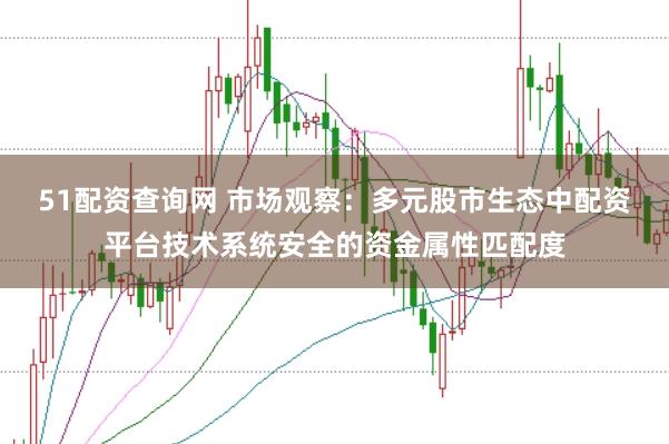51配资查询网 市场观察：多元股市生态中配资平台技术系统安全的资金属性匹配度