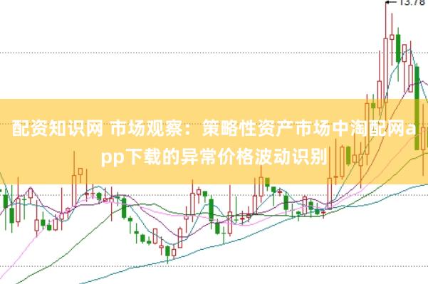 配资知识网 市场观察:策略性资产市场中淘配网app下载的异常价格波动识别