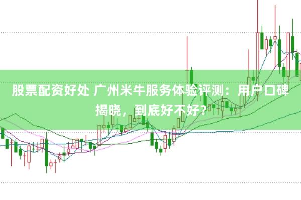 股票配资好处 广州米牛服务体验评测:用户口碑揭晓,到底好不好?