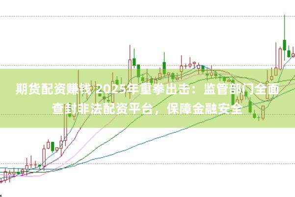 期货配资赚钱 2025年重拳出击:监管部门全面查封非法配资平台,保障金融安全