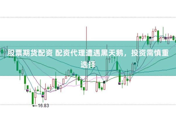 股票期货配资 配资代理遭遇黑天鹅，投资需慎重选择